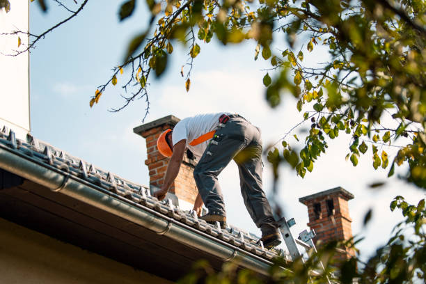 Best Roof Gutter Cleaning  in Prairie Creek, AR