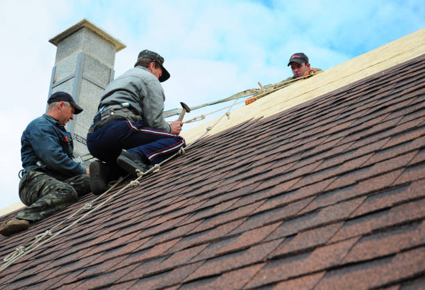 Quick and Trustworthy Emergency Roof Repair Services in Prairie Creek, AR